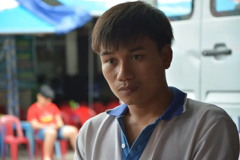 紫微命盤奧秘大解碼：一窺命運的軌跡